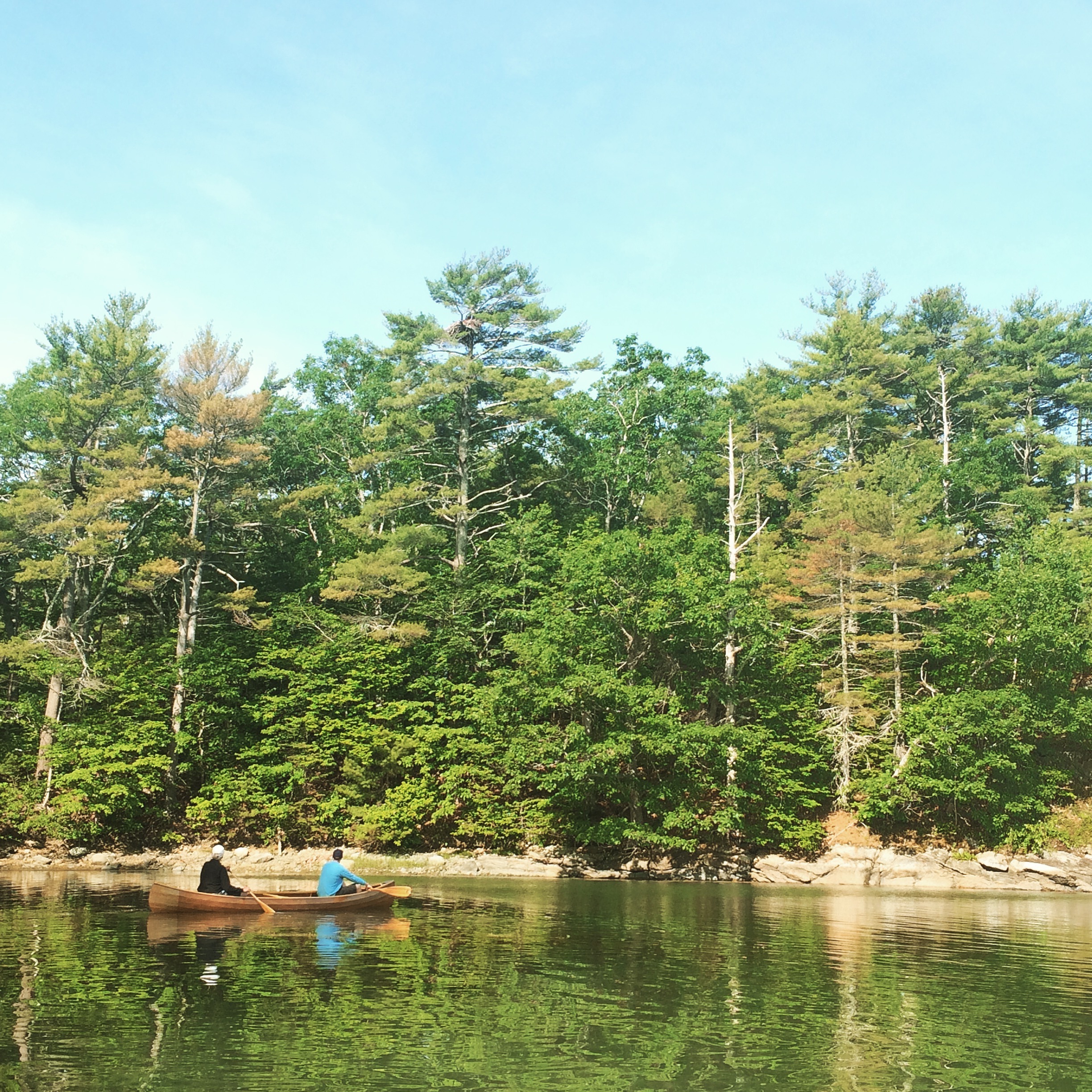 Paddling in the Damariscotta with an eagle's nest as a point of interest.